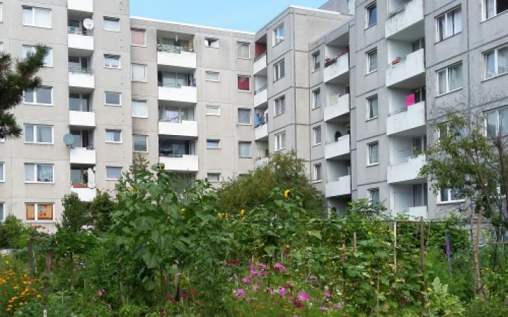 Gemeinsam Grün - Gemüse an- und Vorurteile abbauen - GemeinschaftsGärten in der Sozialen Arbeit Bild 4