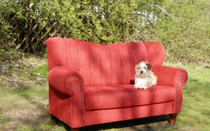 Das rote Sofa Bild 3